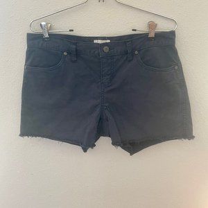 Carve Designs Size 4 Blue Twill Shorts